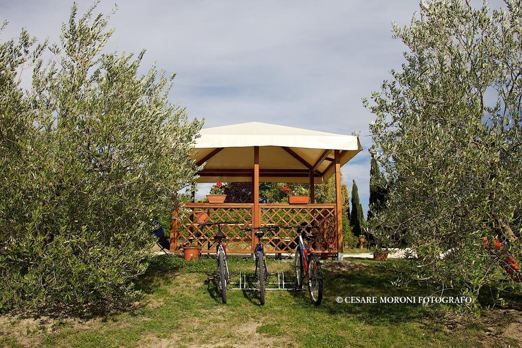 Residence Ai Campi Da Golf Сатурнія Номер фото